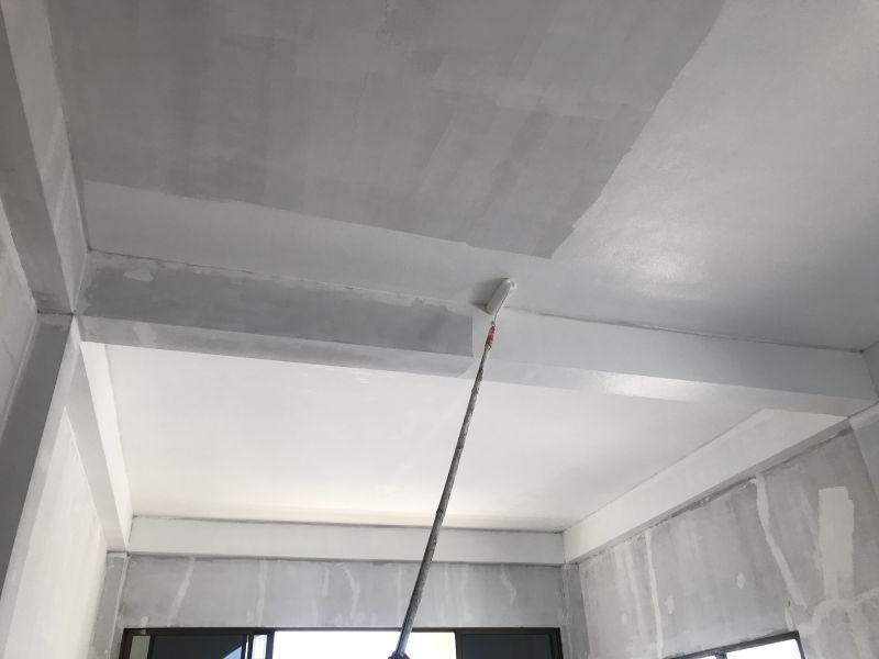 Garage Ceiling Painting
