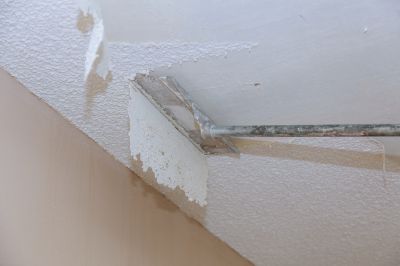 Popcorn Ceiling Painting