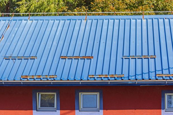 Roof Painting