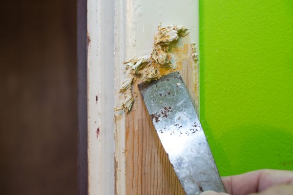 Paint Removal Services
