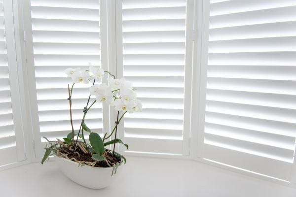 Interior Shutter Restoration
