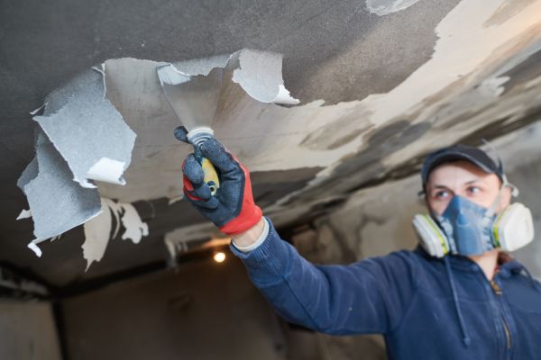 House Paint Removal