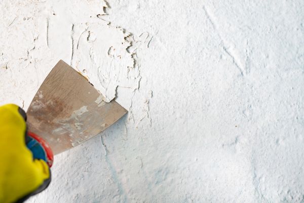 Paint Abatement