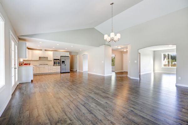 Vaulted Ceiling Painting